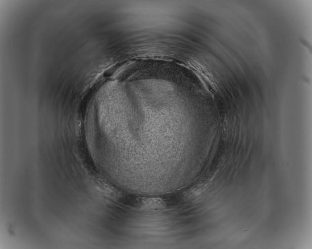 X0000091230355200708301521