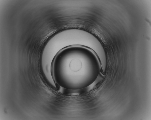 X0000091230356200708301521
