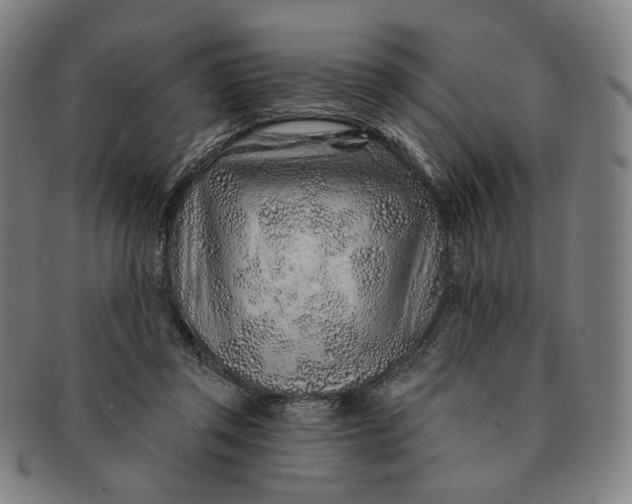 X0000091230357200708301521