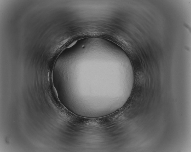 X0000091230358200708301521