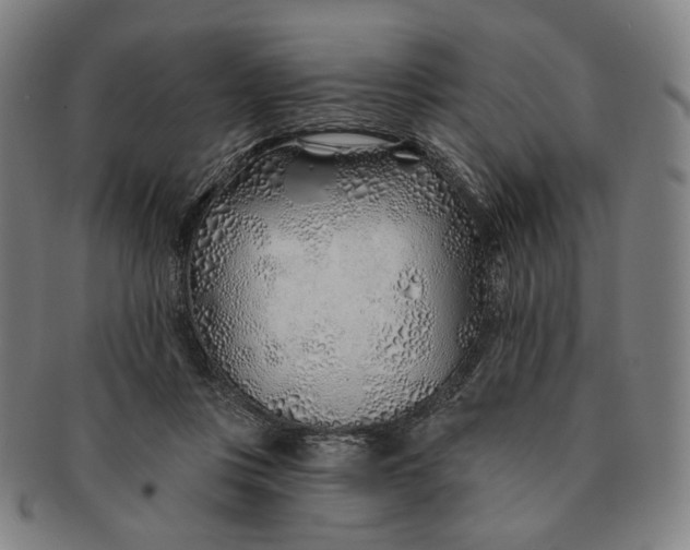 X0000091230359200708301521