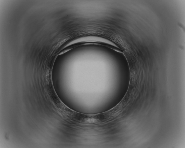 X0000091230360200708301521