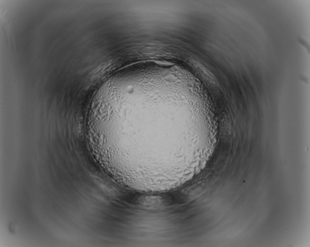 X0000091230361200708301521
