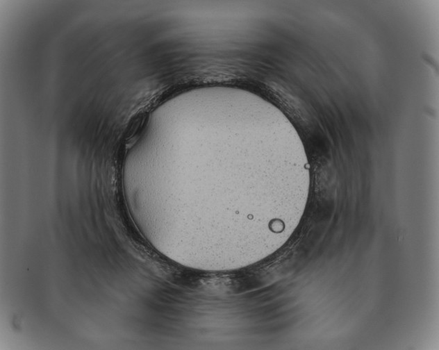 X0000091230362200708301521