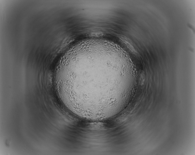 X0000091230363200708301521