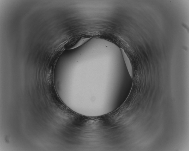 X0000091230364200708301521