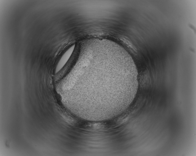 X0000091230365200708301521