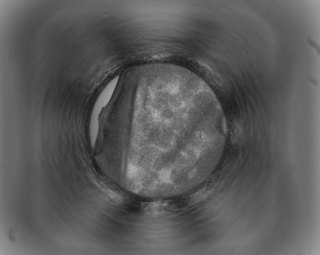 X0000091230366200708301521
