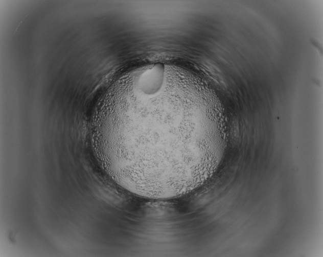 X0000091230367200708301521