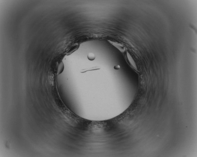 X0000091230368200708301521
