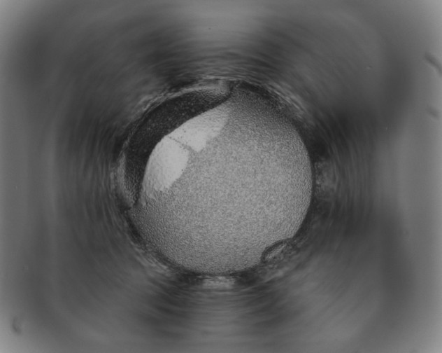 X0000091230369200708301521