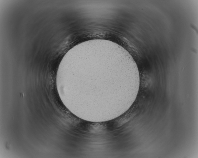 X0000091230370200708301521