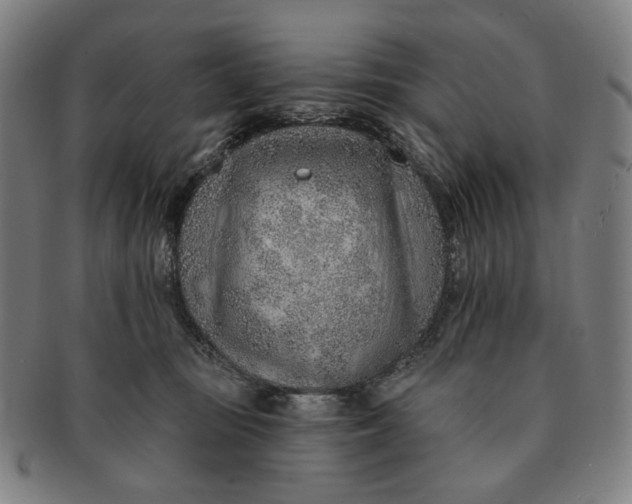 X0000091230371200708301521