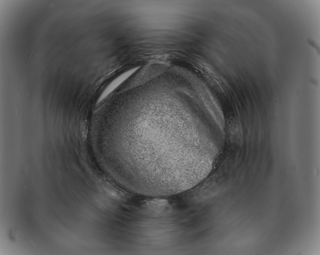 X0000091230374200708301521