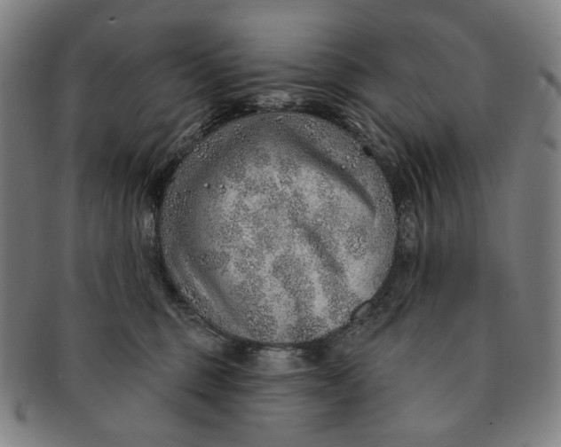 X0000091230375200708301521