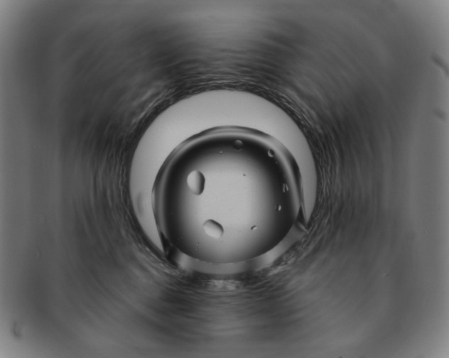 X0000091230376200708301521