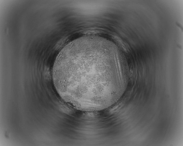 X0000091230381200708301521