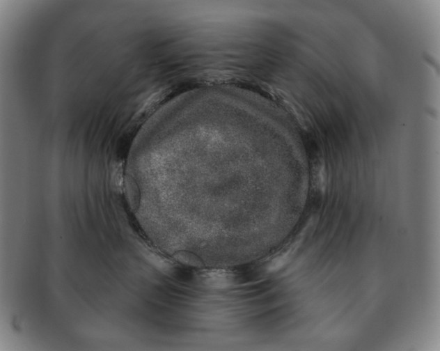 X0000091230383200708301521