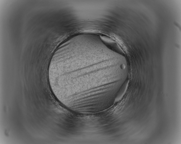 X0000091230385200708301521
