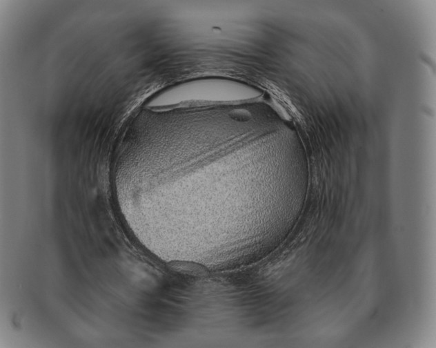 X0000091230386200708301521