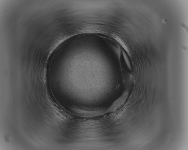 X0000091230387200708301521