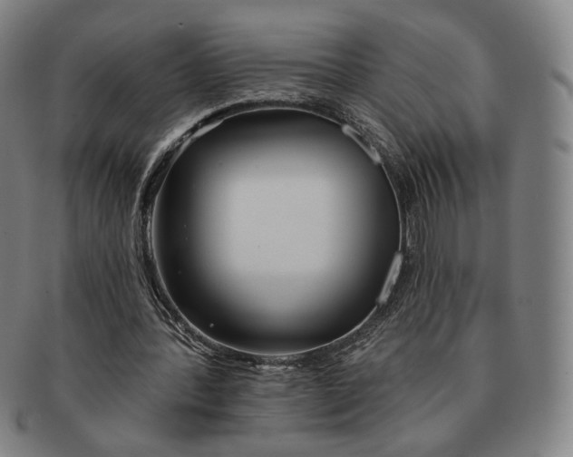 X0000091230388200708301521