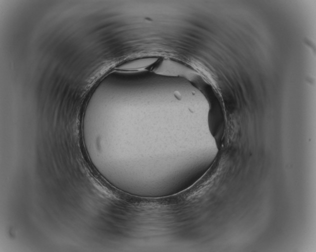 X0000091230389200708301521