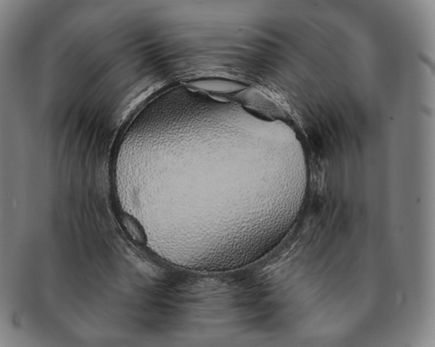 X0000091230390200708301521