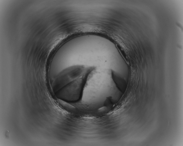 X0000091230391200708301521