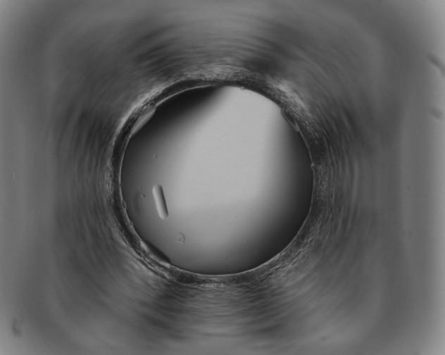 X0000091230392200708301521