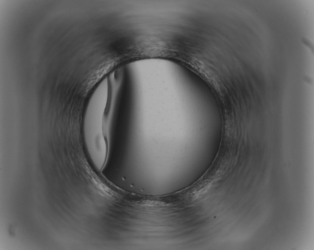 X0000091230393200708301520