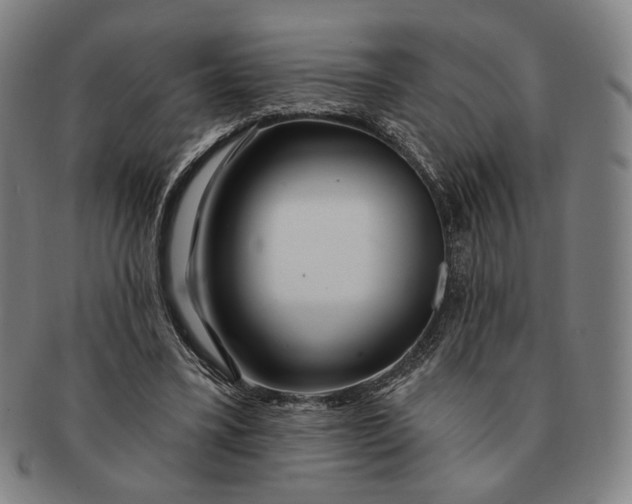 X0000091230395200708301520