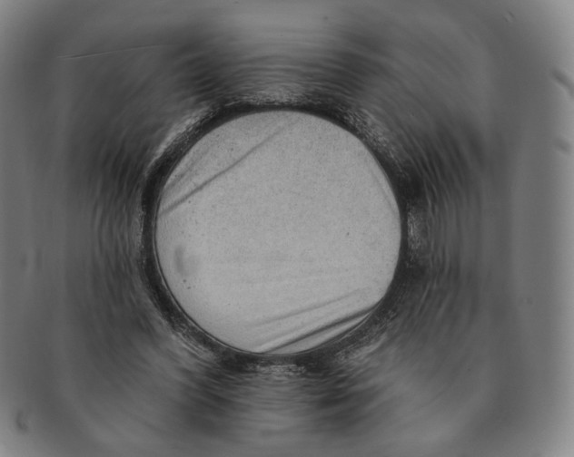 X0000091230396200708301520