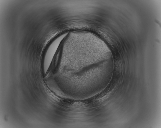 X0000091230399200708301520
