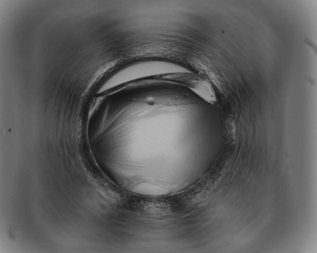 X0000091230400200708301520