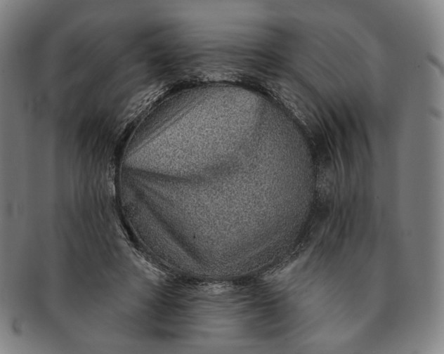 X0000091230402200708301520