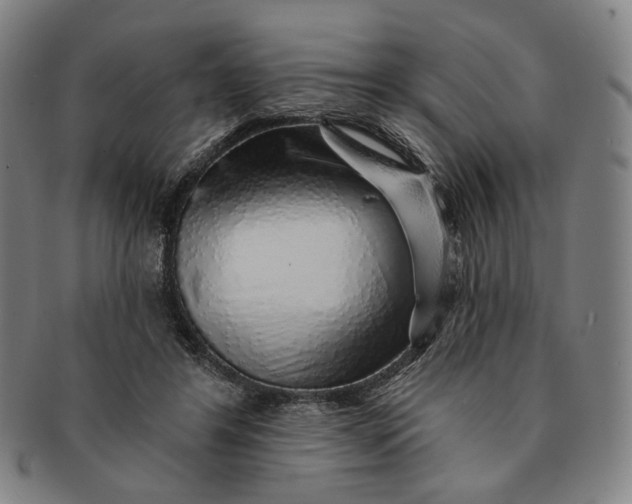 X0000091230404200708301520
