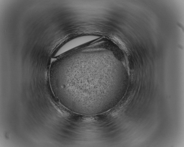 X0000091230405200708301520