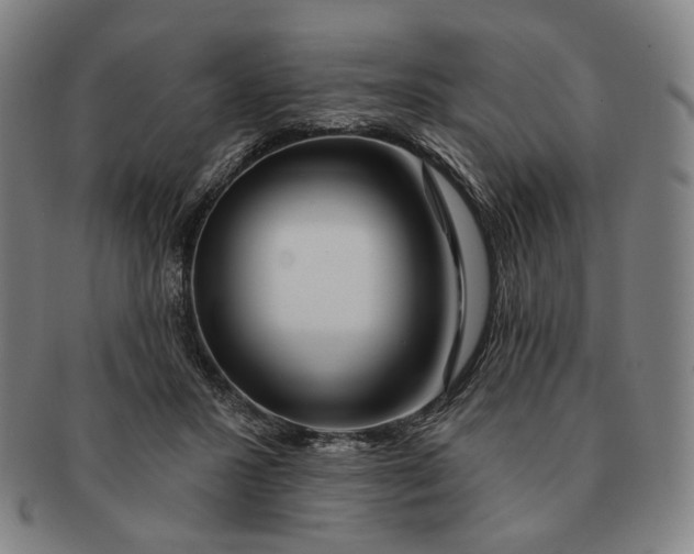 X0000091230407200708301520