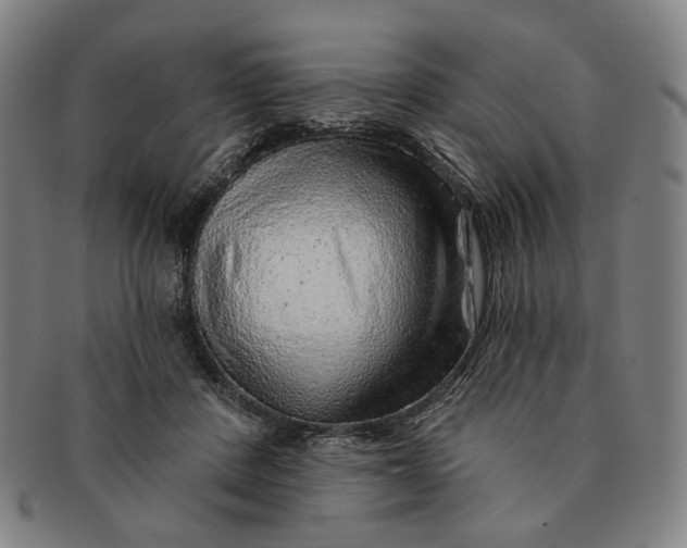 X0000091230408200708301520