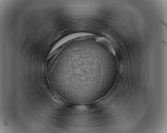 X0000091230409200708301520