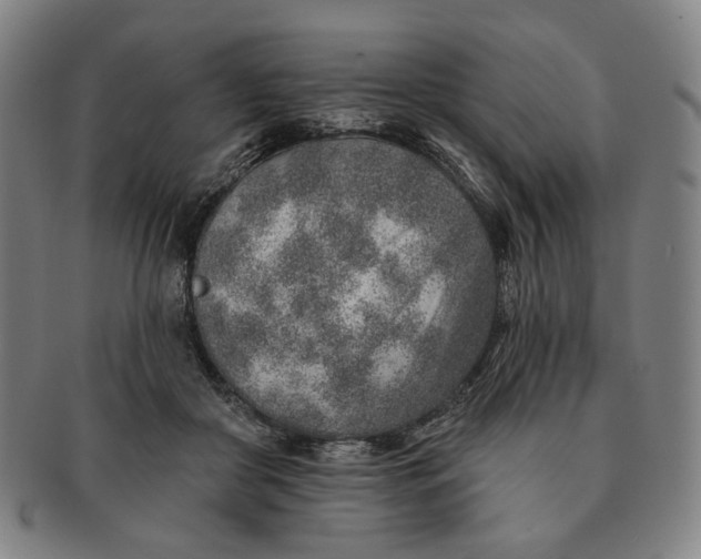 X0000091230410200708301520