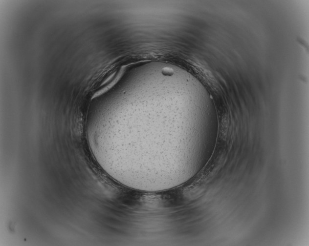 X0000091230413200708301520