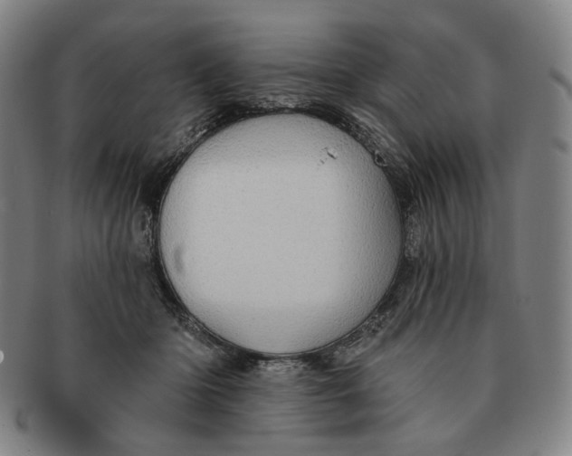 X0000091230414200708301520