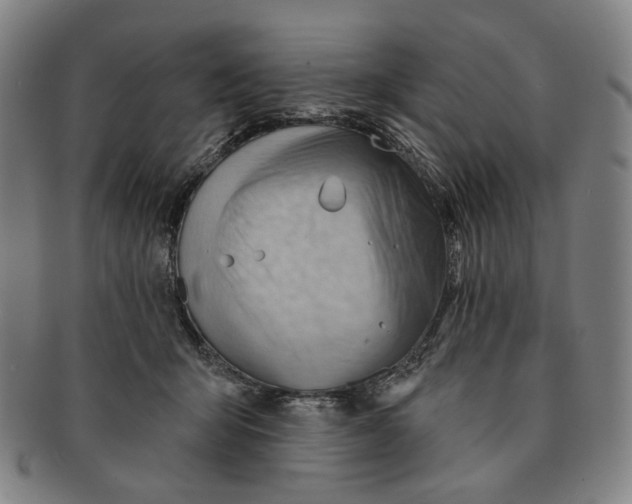 X0000091230415200708301520
