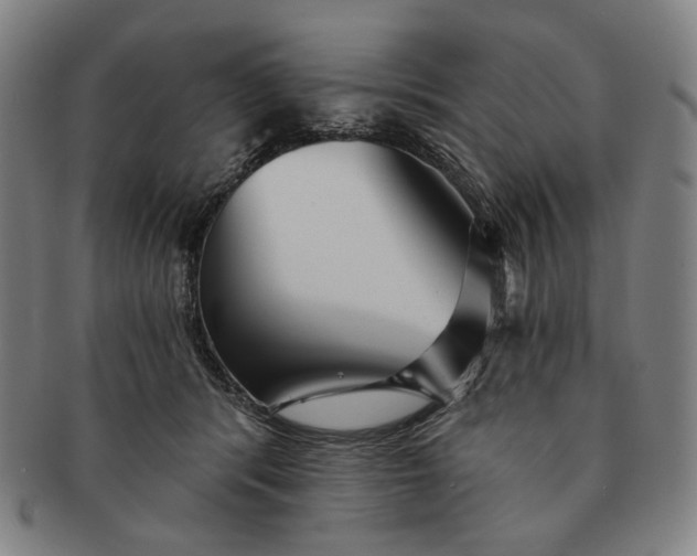 X0000091230416200708301520