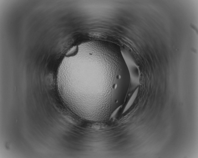 X0000091230420200708301520