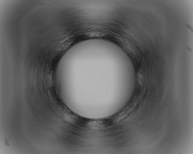 X0000091230422200708301520