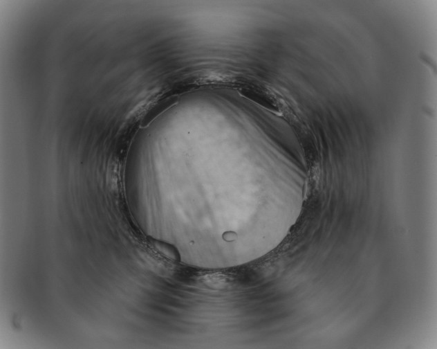 X0000091230423200708301520