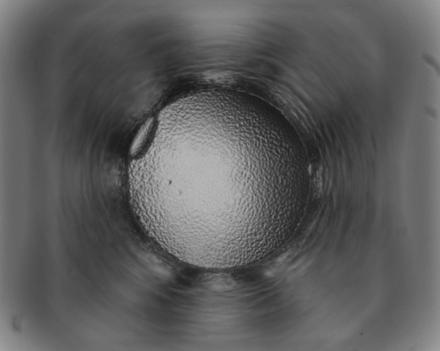 X0000091230424200708301520
